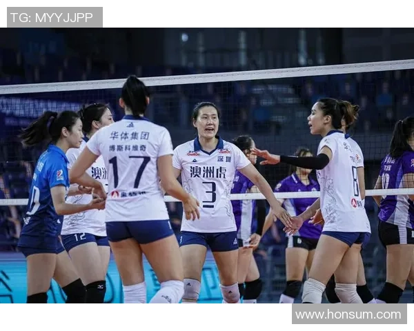 排球节奏排行榜：深圳排球队位居第6名
